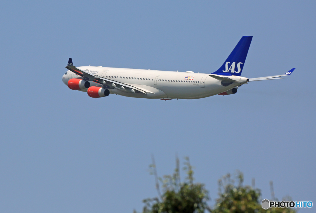 「そらー」 SAS A340-313 OY-KBA 飛ぶ