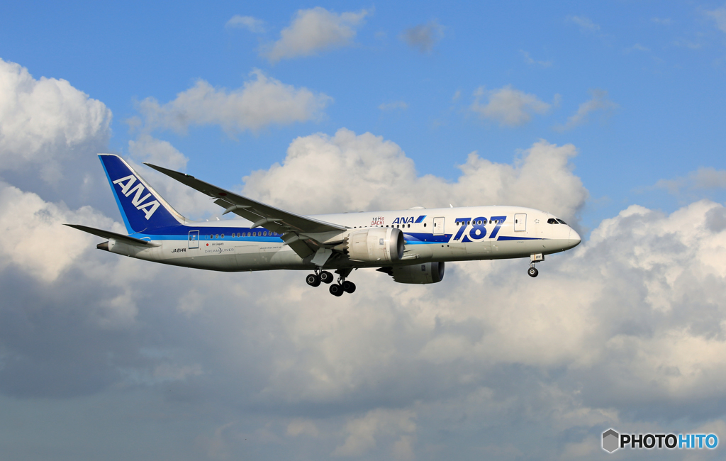 「群青」 ANA 787-8 JA814A Landing 