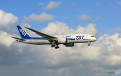 「群青」 ANA 787-8 JA814A Landing 