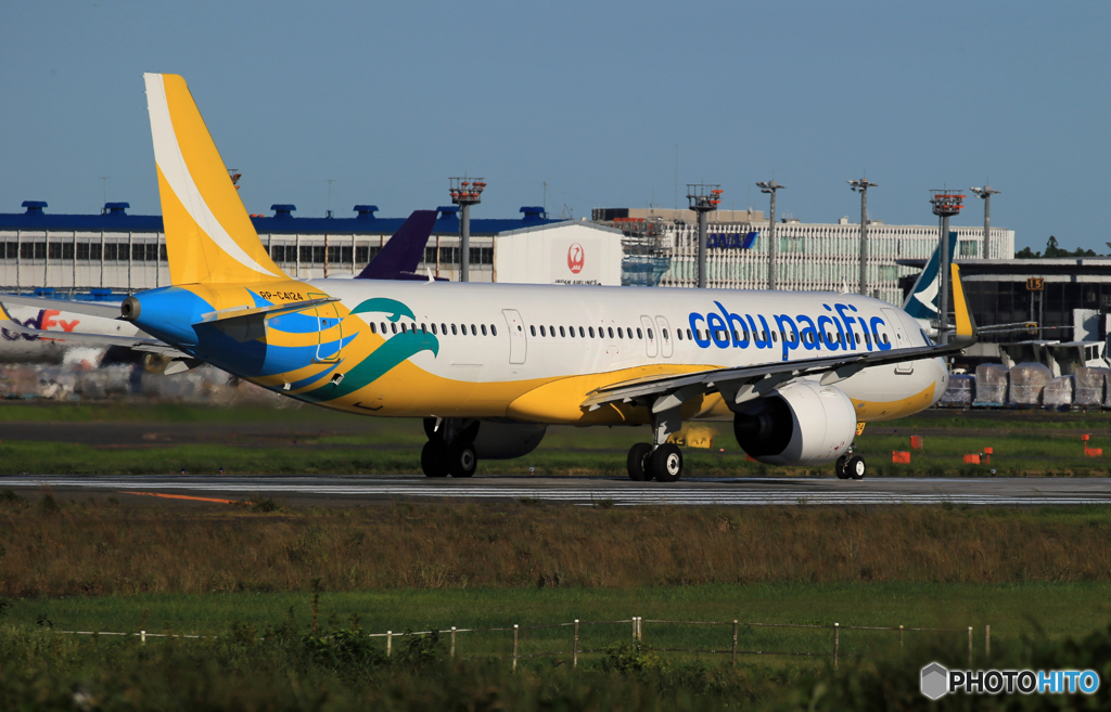 「すかい」CEBU A321-271NX  RP-C4124 Takeoff