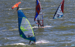 「東京湾」海のサーフィン・フラワー