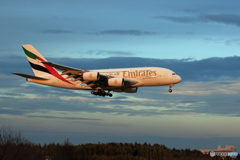 「あおいそら」 EMIRATES A380-861 A6-EEH 到着