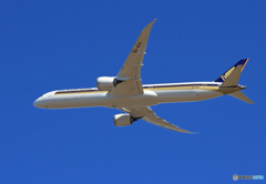 「青い日」 Singapore 787-10 9VSCH 離陸