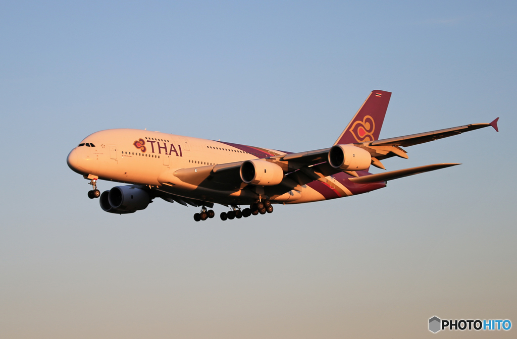 「青が大好き」THAI A380-841 HS-TUD  到着