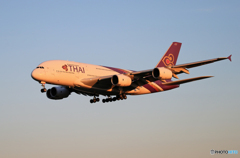 「青が大好き」THAI A380-841 HS-TUD  到着