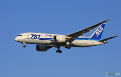 「空色」 ANA 787-8 JA813A 着地前 