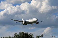 「青色が好き」NZ' 787-9 ZK-NZD 到着