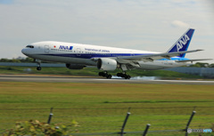 ✈初めての聖地巡礼に  ☮ANA Landing
