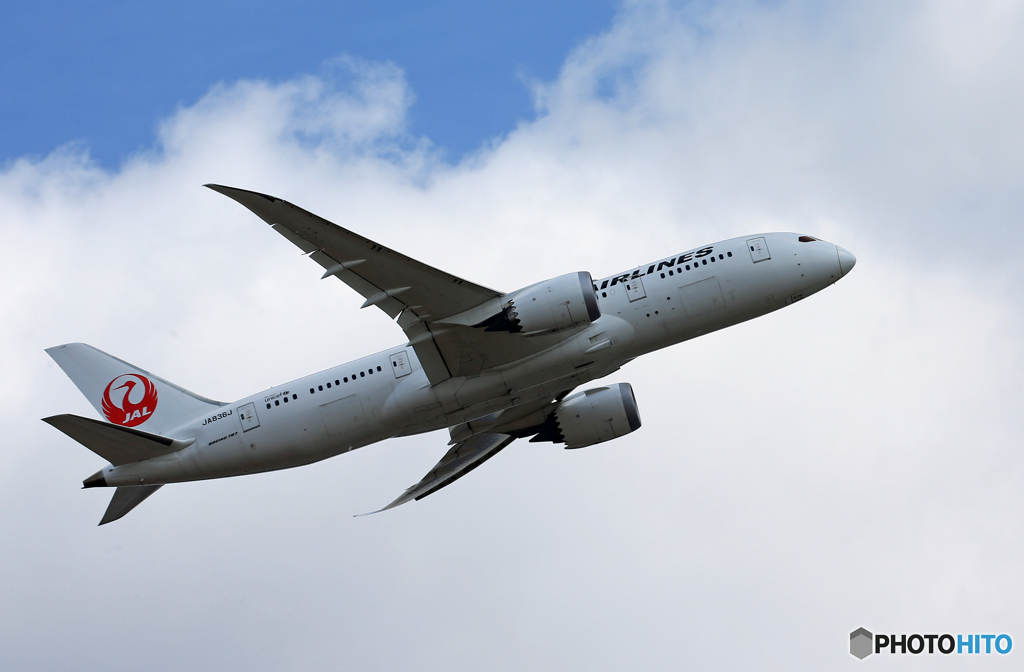 「Blue」 JAL 787-8 JA836J 飛ぶ