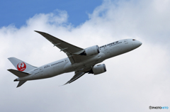 「Blue」 JAL 787-8 JA836J 飛ぶ