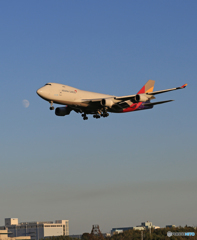 「群青」 Asiana 747-400+月　  HL7436  Landing