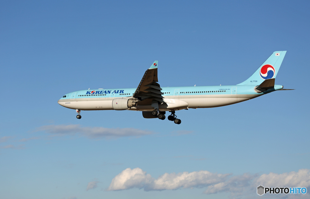 「青色が好き」 KOREAN A330-300 HL7709 着陸