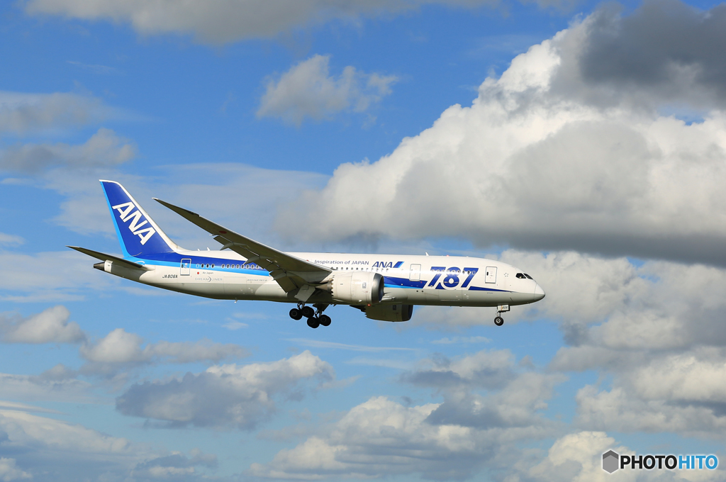 「青が好き」 ANA 787-8 JA806A 通過