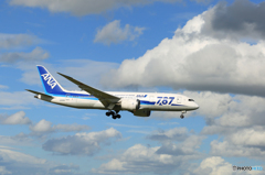 「青が好き」 ANA 787-8 JA806A 通過