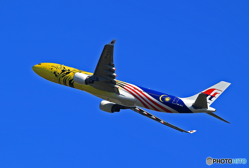 ☀「青い空」あけましておめでとうございます