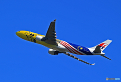 ☀「青い空」あけましておめでとうございます