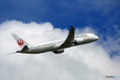 「青空」 JAL 787-9 JA870J 離陸です
