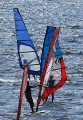 「青い日」や〜　元気でした  (2)