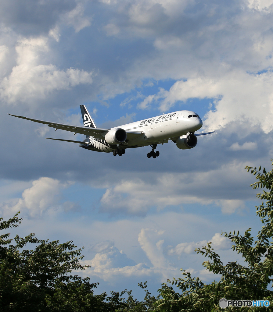 「群青」 NZ' B787-9 ZK-NZD Landing 