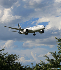 「群青」 NZ' B787-9 ZK-NZD Landing 