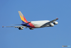 「晴れ」 Asiana A380-841 HL7625 出発です