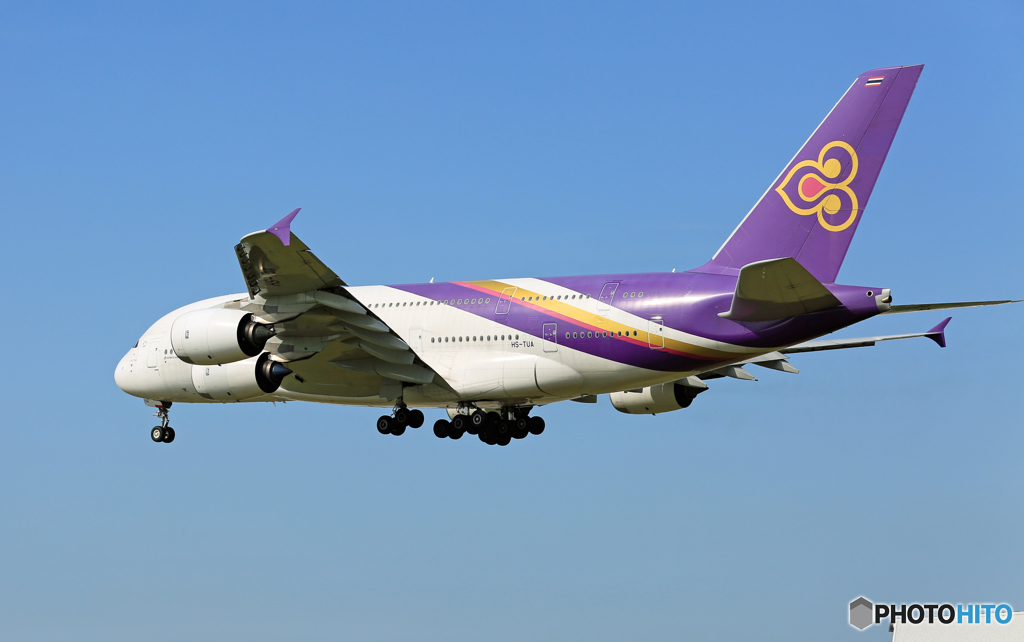「すかい」 THAI A380-841 HS-TUA Landing