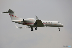 「スカイ」 プライベート機ガルフG350/450 N666ZW Landing