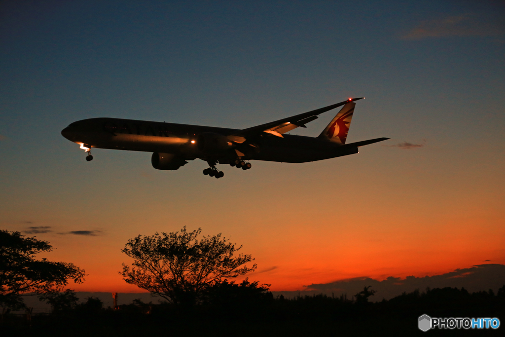 「青が大好き」 シルエット・Qantas 着地前 