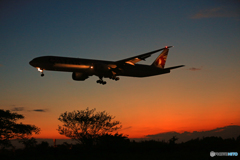 「青が大好き」 シルエット・Qantas 着地前 