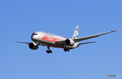 「青が大好き」 ETIHAD 787-9 F-1 A6-BLV 飛行