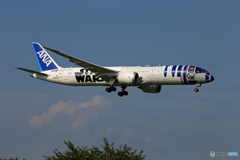 「曇り」Star Wars 787-8 JA873A 到着します