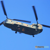 「すかい」陸上自衛隊　JGSDF ヘリコプター　チヌーク