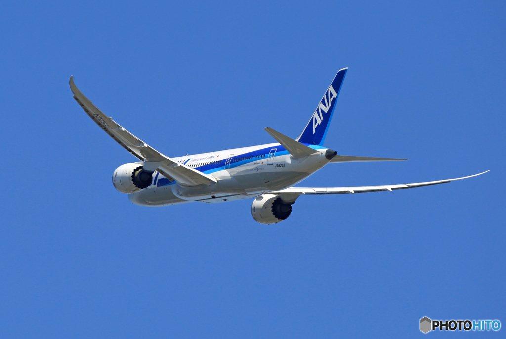 「SKY」 ANA 787-8 JA822A 離陸です
