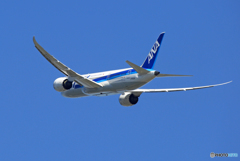 「SKY」 ANA 787-8 JA822A 離陸です