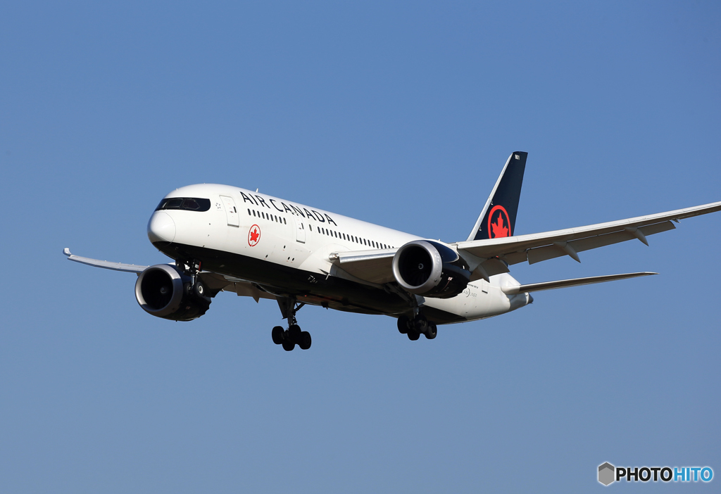 「群青」 Air Canada 787-8 C-GHPQ Landing