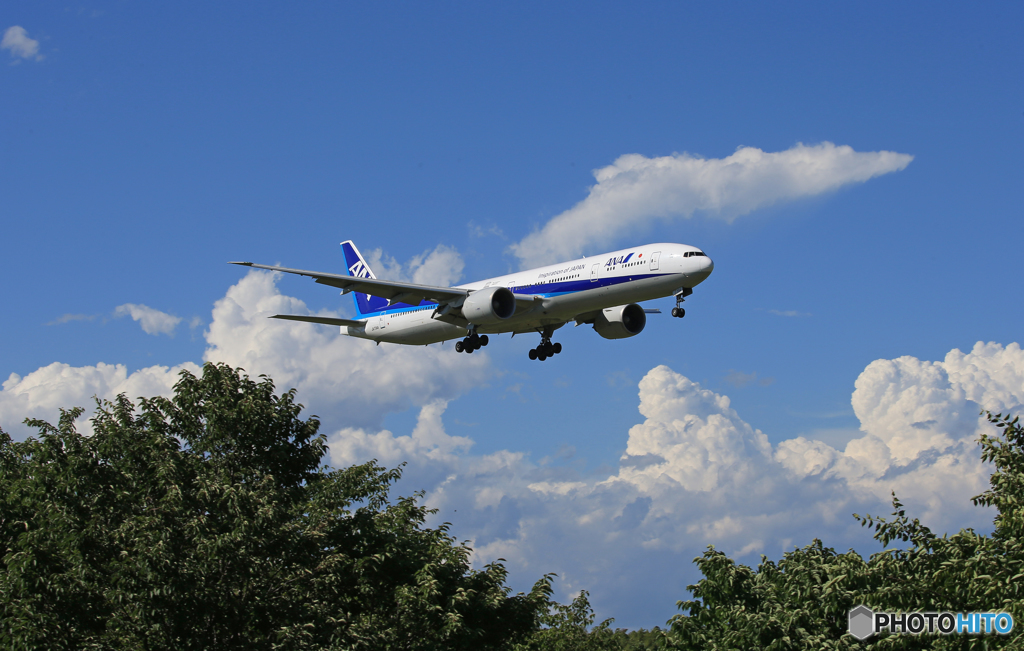 「良い天気」 ANA 787-9 JA837A 飛行