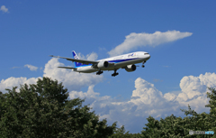「良い天気」 ANA 787-9 JA837A 飛行