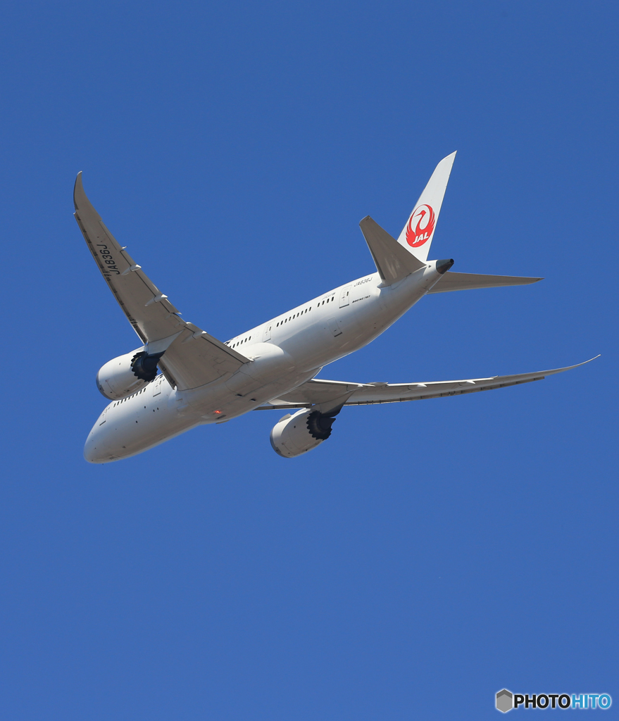 「青が好き」 JAL 787-8 JA836J 出発