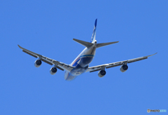 「ブルー」 NCA 747-8KZF JA14KZ 出発です