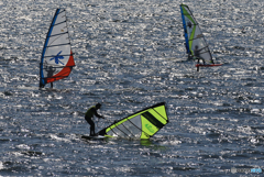 「青が大好き」あれれ〜　ウインドサーフィン