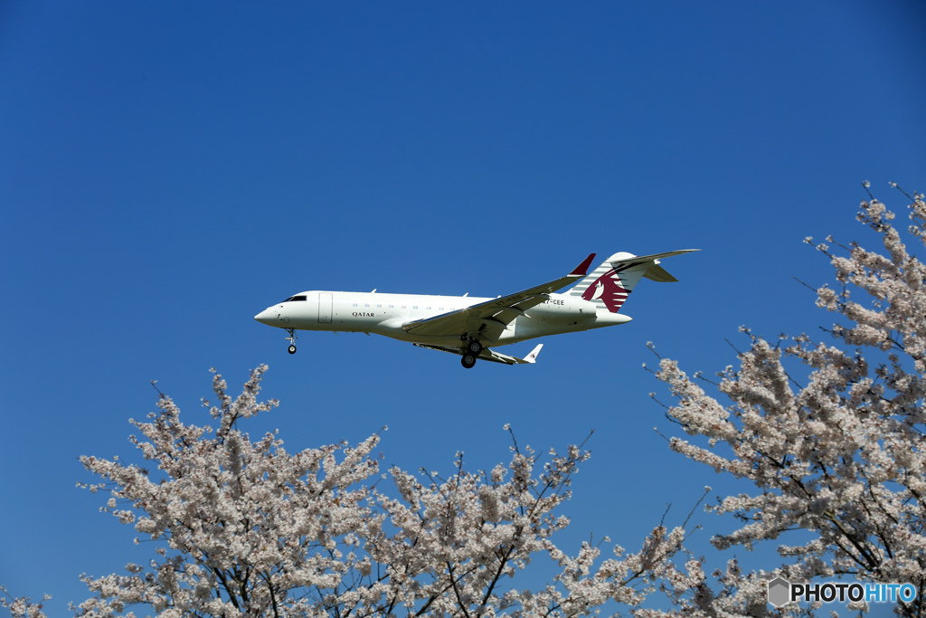 「SKY」桜と☮カタール・Bombardier BD-700 A7-CEE✈　