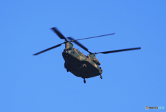 「スカイ」 陸上自衛隊　JGSDF ヘリコプター　チヌーク