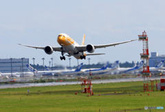 「青い空」が一番 Scoot 787 9V-OJD 出発です