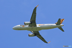 「ぶるー」 tigerair A320-200 B-50017 出発
