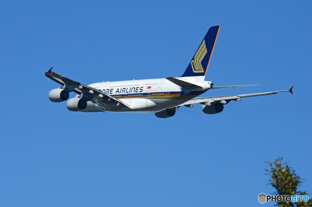「すかい」Singapore A380-841 9V-SKK 出発です