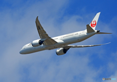 「SKY」 JAL 787-9 JA869J ☮Takeoff