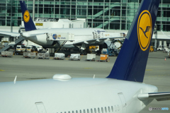 「スカイ」ミュンヘン国際空港の風景・特別塗装機発見？