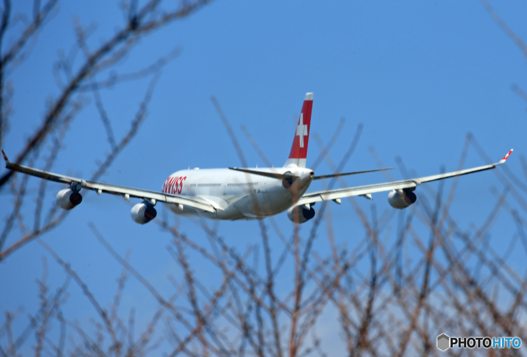 「あおぞら」 SWISS A340-313 HB-JMI離陸します