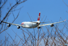 「あおぞら」 SWISS A340-313 HB-JMI離陸します