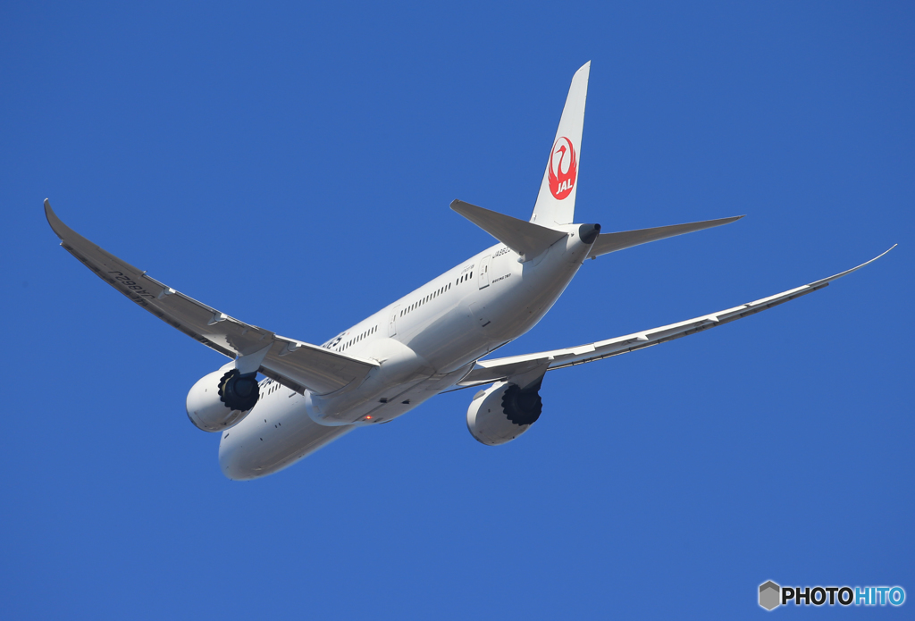 「あおぞら」 JAL 787-9 JA862J 飛び立ち